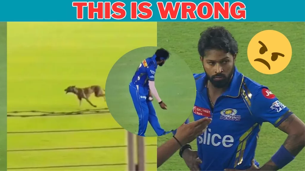 Crowd Chants Hardik Towards Dog